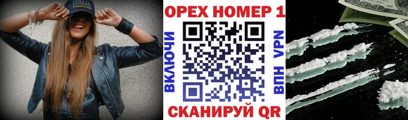 omg вход  Лермонтов  Кокаин Эквадор 