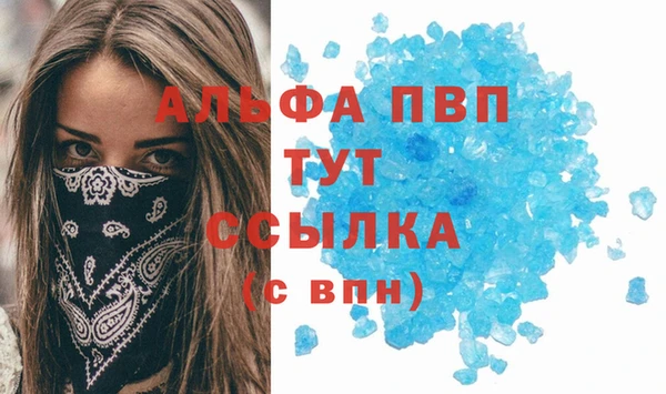 крисы Баксан