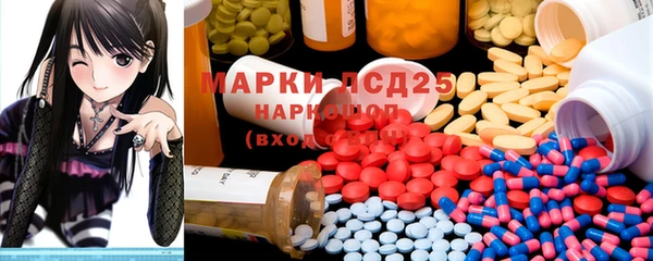 крисы Баксан