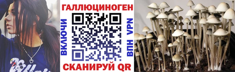 Псилоцибиновые грибы прущие грибы  мега зеркало  Лермонтов 